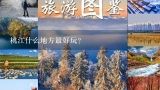 桃江什么地方最好玩？益阳桃江有哪个地方比较好玩点