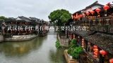 武汉扬子江上有哪些主要经济活动?