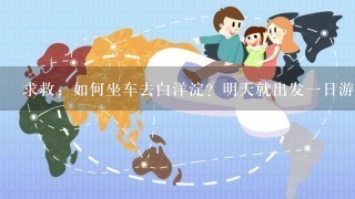 求救：如何坐车去白洋淀？明天就出发一日游，有什么