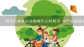 照母山森林公园腊梅什么时候开 照母山森林公游玩攻