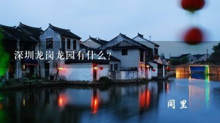 深圳龙岗龙园有什么?