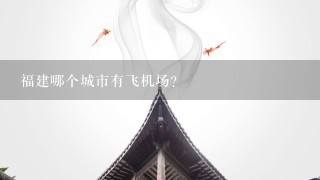 福建哪个城市有飞机场？