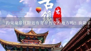 趵突泉景区附近有寄存行李的地方吗？放箱子的