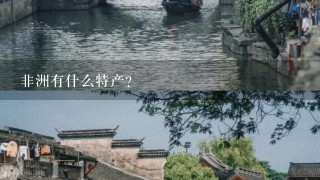 非洲有什么特产？