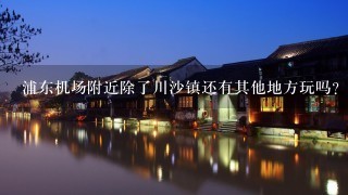 浦东机场附近除了川沙镇还有其他地方玩吗？远点也可以的。