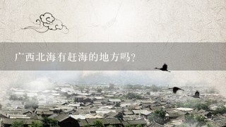 广西北海有赶海的地方吗？