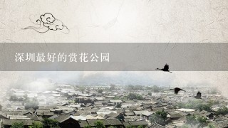 深圳最好的赏花公园