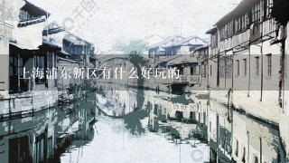 上海浦东新区有什么好玩的