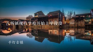 八坼镇现在学校开始上学没没