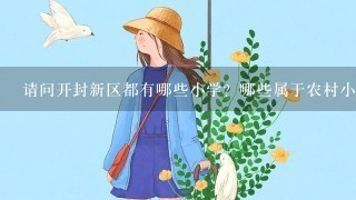 请问开封新区都有哪些小学？哪些属于农村小学？