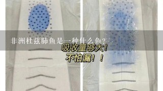 非洲杜兹肺鱼是一种什么鱼？