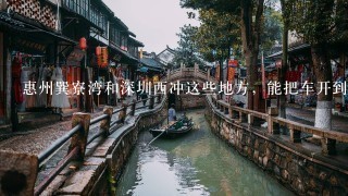 惠州巽寮湾和深圳西冲这些地方，能把车开到沙滩上去吗？那些沙滩上可以自助烧烤吗？