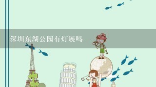 深圳东湖公园有灯展吗