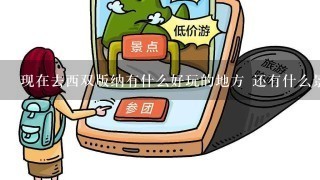 现在去西双版纳有什么好玩的地方 还有什么景点是必须要去的?