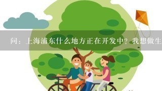 问：上海浦东什么地方正在开发中？我想做生意，老城区位置都被占据了，希望对浦东熟悉的大侠告诉我下具体