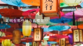 昆明有那些地方有樱花??