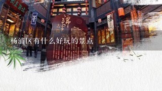 杨浦区有什么好玩的景点