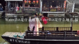 WaterBus是什么地方WaterBus是什么地方;探索具有历史文化价值的“水上威尼斯”