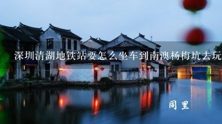 深圳清湖地铁站要怎么坐车到南澳杨梅坑去玩？？