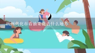 扬州兴化市看油菜花去什么地方