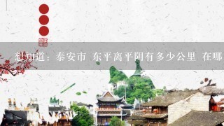 想知道: 泰安市 东平离平阴有多少公里 在哪