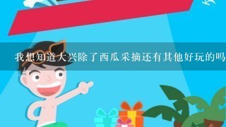 我想知道大兴除了西瓜采摘还有其他好玩的吗？