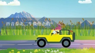 抖音泰北2牛做什么的