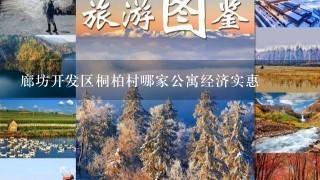 廊坊开发区桐柏村哪家公寓经济实惠