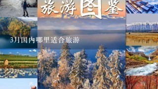 3月国内哪里适合旅游