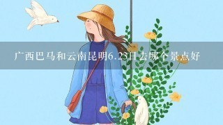 广西巴马和云南昆明6.23日去哪个景点好