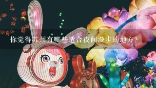 你觉得苏州有哪些适合夜间漫步的地方