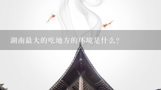 湖南最大的吃地方的环境是什么?