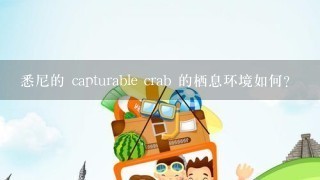 悉尼的 capturable crab 的栖息环境如何?