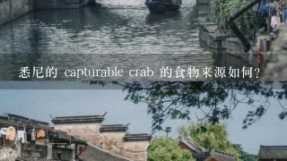 悉尼的 capturable crab 的食物来源如何?